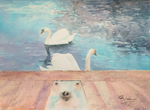 'Swan Lake'
