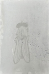 Ephemeral 21 x 29 cm