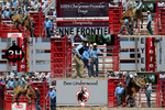 Bee Underwood Chute Gate Collage