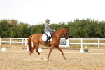 SBM_007402