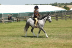 SBM_05351