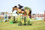 SBM_03196
