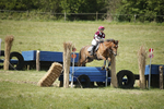 BVHT 140517  IXC -133