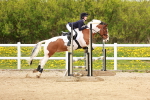 SBM_005366