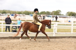 SBM_01597