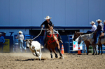 3HRodeo8-11-25_PRCASteer_01827_