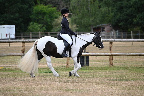 WJ6_3734