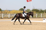 SBM_004919