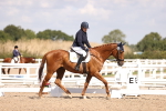 SBM_03670