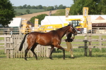 SBM_10417