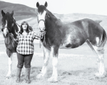 jane horses-12