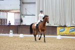 SBM_010947