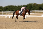 SBM_005730