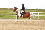 SBM_004059