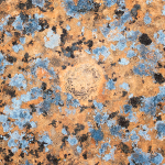 LICHEN DETAILS, CANYONLANDS NP - UTAH