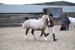 SBM_007282