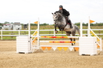 SBM_009176