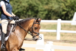 SBM_001531