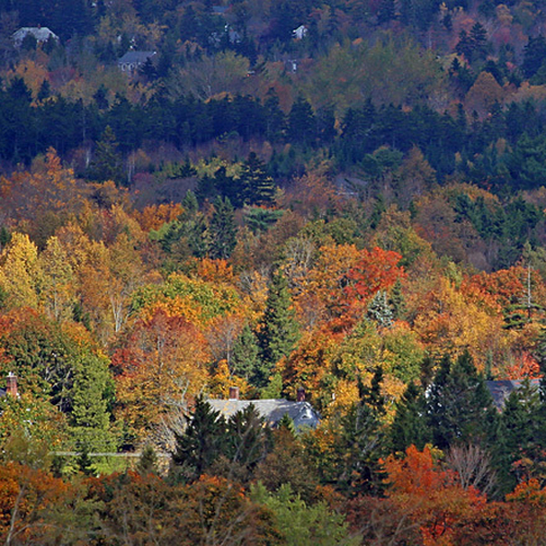 The steeple of St. Paul's Anglican Church surrounded by the colors of the season.