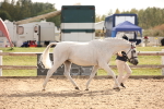 SBM_08189