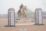 Cls 40 Academy Individual Horse 90cm portfolio