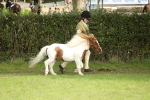 SBM_68525
