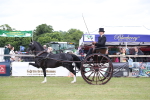 SBM_05801