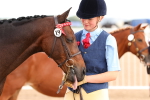 SBM_10226