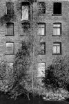 Wellington Mill, Ashton-under-Lyne