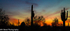 Desert sunrise 1