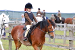 SBM_08439