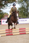 J58 - Clear Round 50cm portfolio