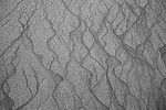 Intimate Landscapes