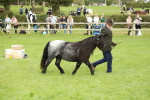 SBM_62787