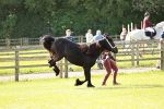 SBM_00689