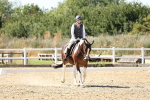 SBM_003410