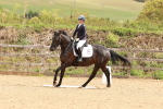 SBM_001377