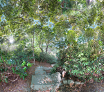 Gypsie's Staircase - Highfield Hall, Falmouth
