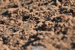 260626-191412-01169