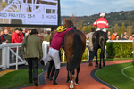 241025-Race 7-Ideal Des Bordes-5796