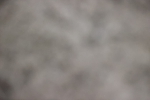 SBM_007175