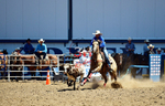 3HRodeo8-11-25_PRCASteer_02637_