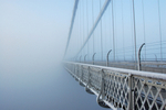 Frozen Clifron Suspenstion Bridge _B0158