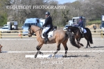 NOVICE 4 portfolio