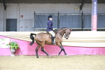 SBM_08023