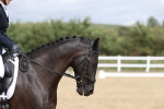 SBM_002936
