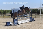 BPP_7386