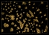Neurons