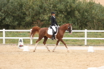 SBM_02085
