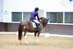 SBM_002485